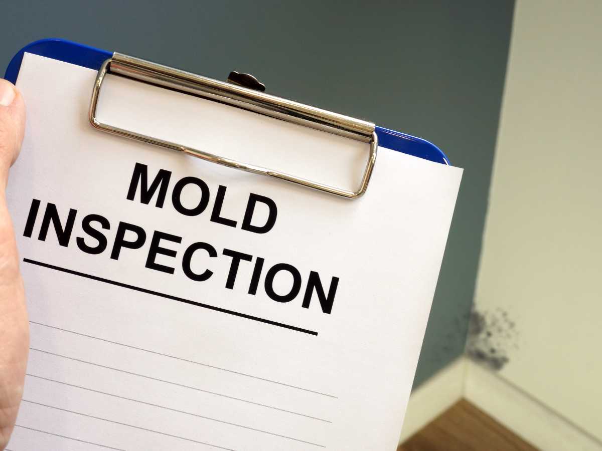 pompano mold inspection