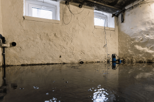 water damage dry out pompano mold inspection